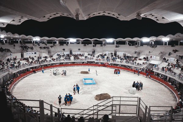 Northdallasmaidservice